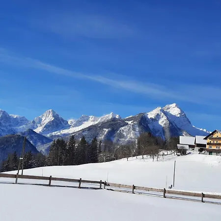 Alpenhaus Hotel *