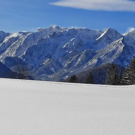 호텔 Alpenhaus *