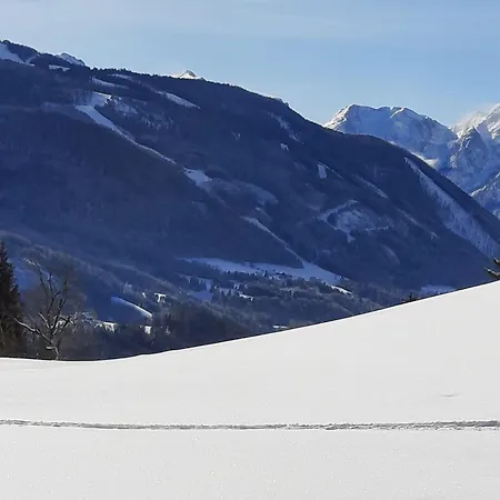 Alpenhaus *