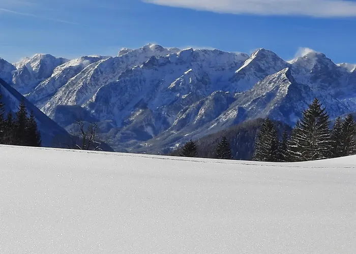 فندق Alpenhaus *