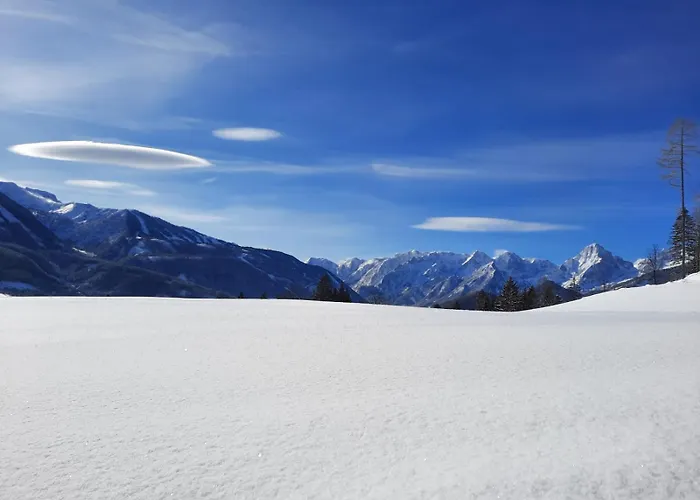 Alpenhaus Vorderstoder