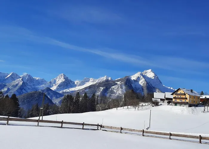 Alpenhaus Ξενοδοχείο *